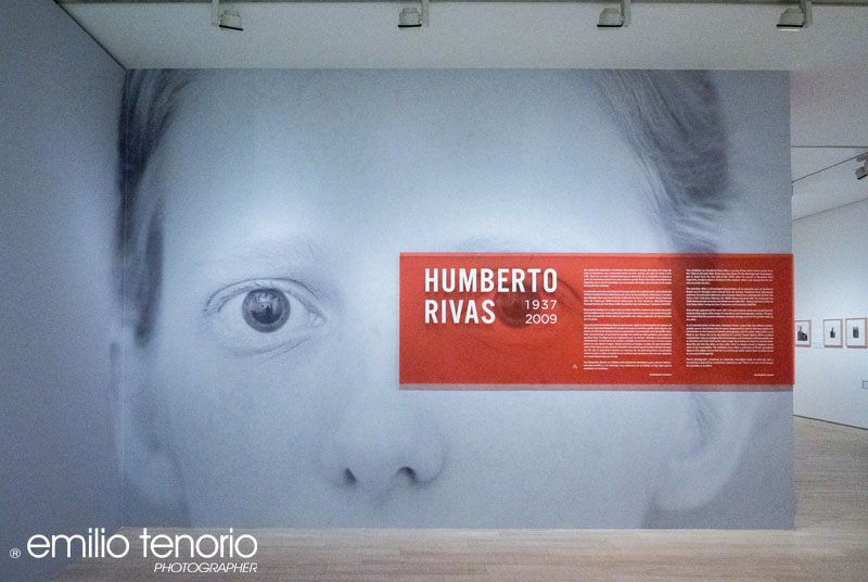 Fundación MAPFRE presenta la exposición de Humberto Rivas